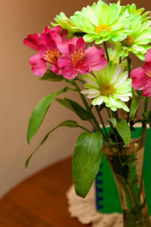 Westphal Mansion Inn Bed & Breakfast Hartford 外观 照片